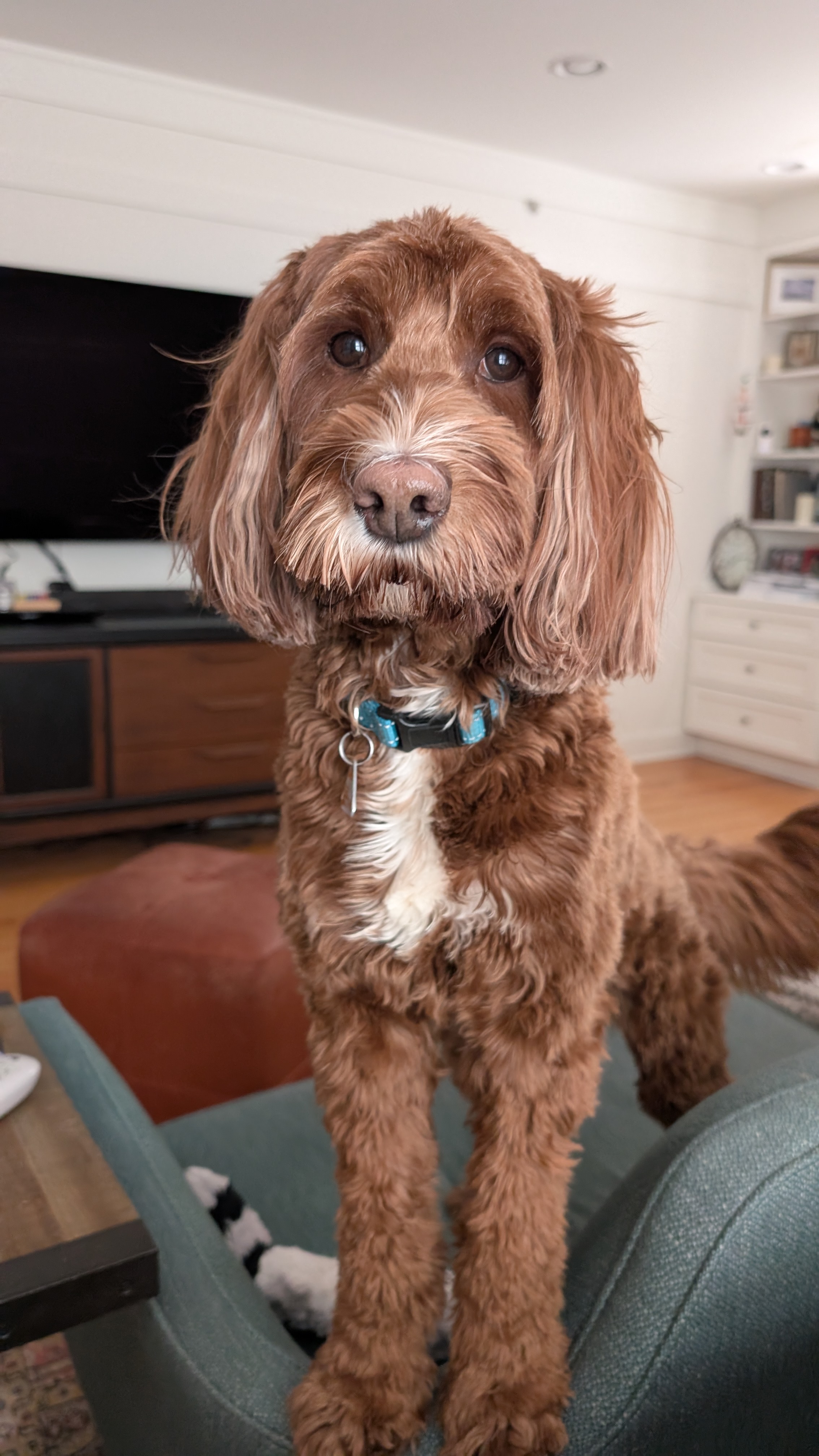 Lucy Skoler, the author